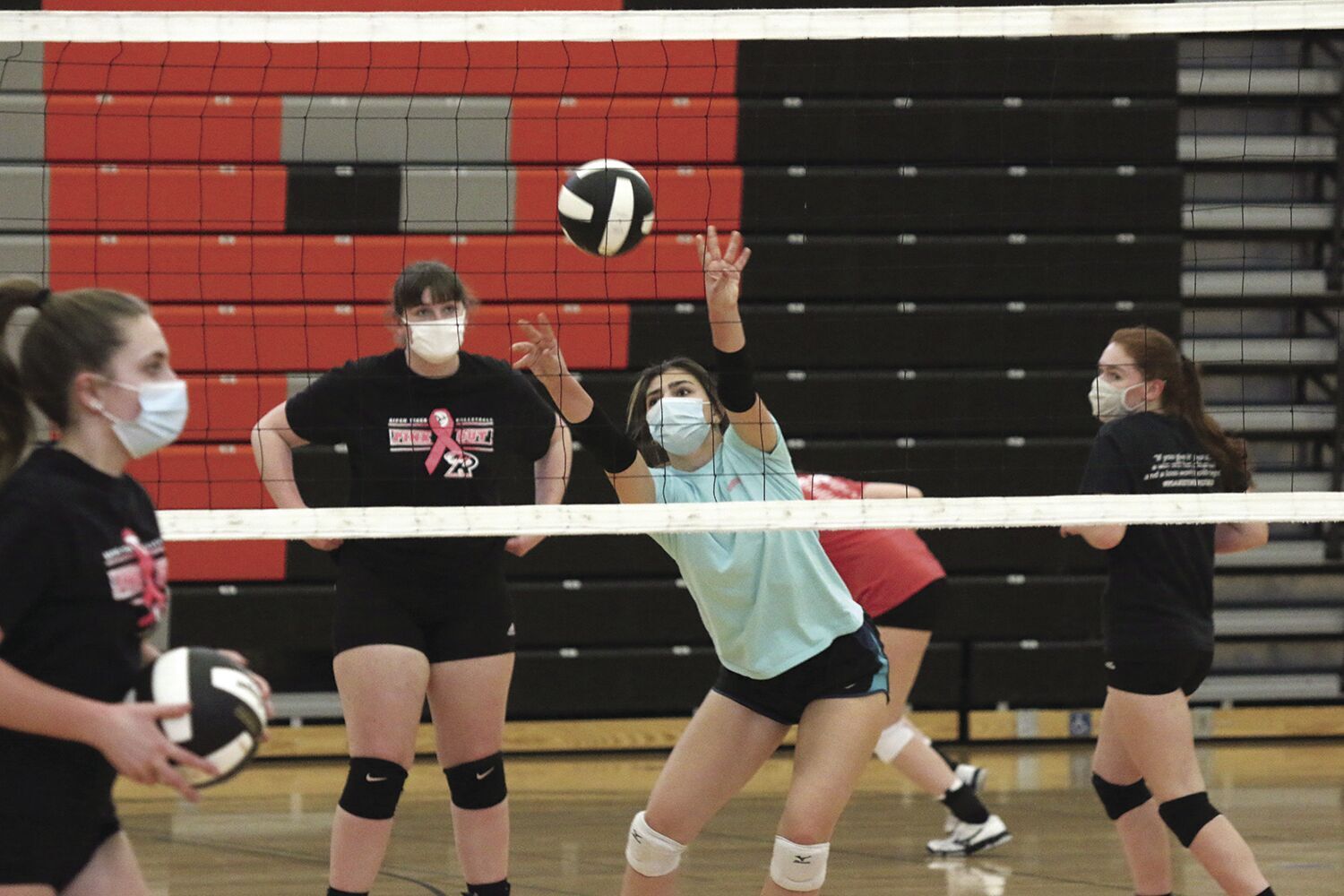Volleyball Preview-2.tif